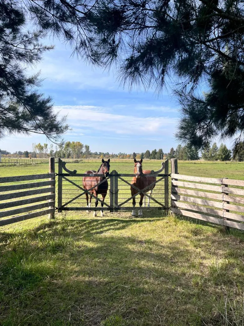 DEL VALLE, ARISTOBULO al 1300 Lote 9 17