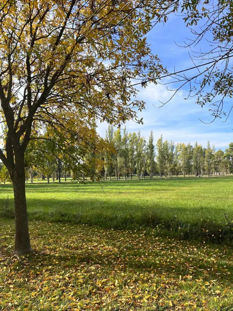 DEL VALLE, ARISTOBULO al 1300 Lote 9 22